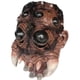 thumbnail image 2 of Ofertas flash del día Estética de terror Colmillos de ojos múltiples Máscara de araña Halloween Efecto de elección de miedo Detalles de mano de obra realistas Fiudx, 2 of 7