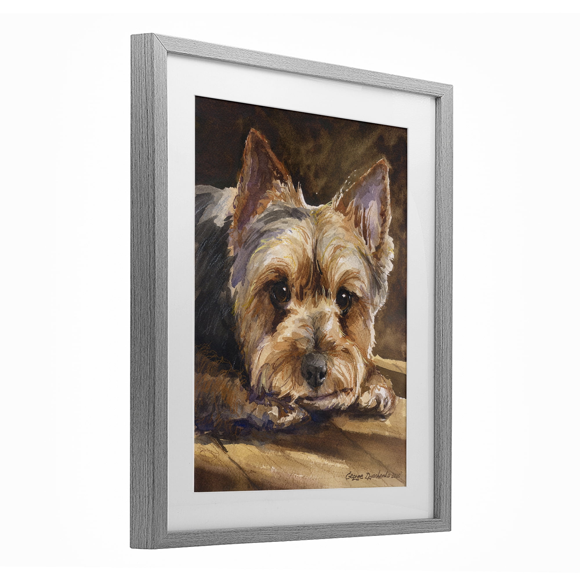 Stupell Industries Yorkshire Terrier Portrait Gray Framed Print Under Glass, design by George Dyachenko