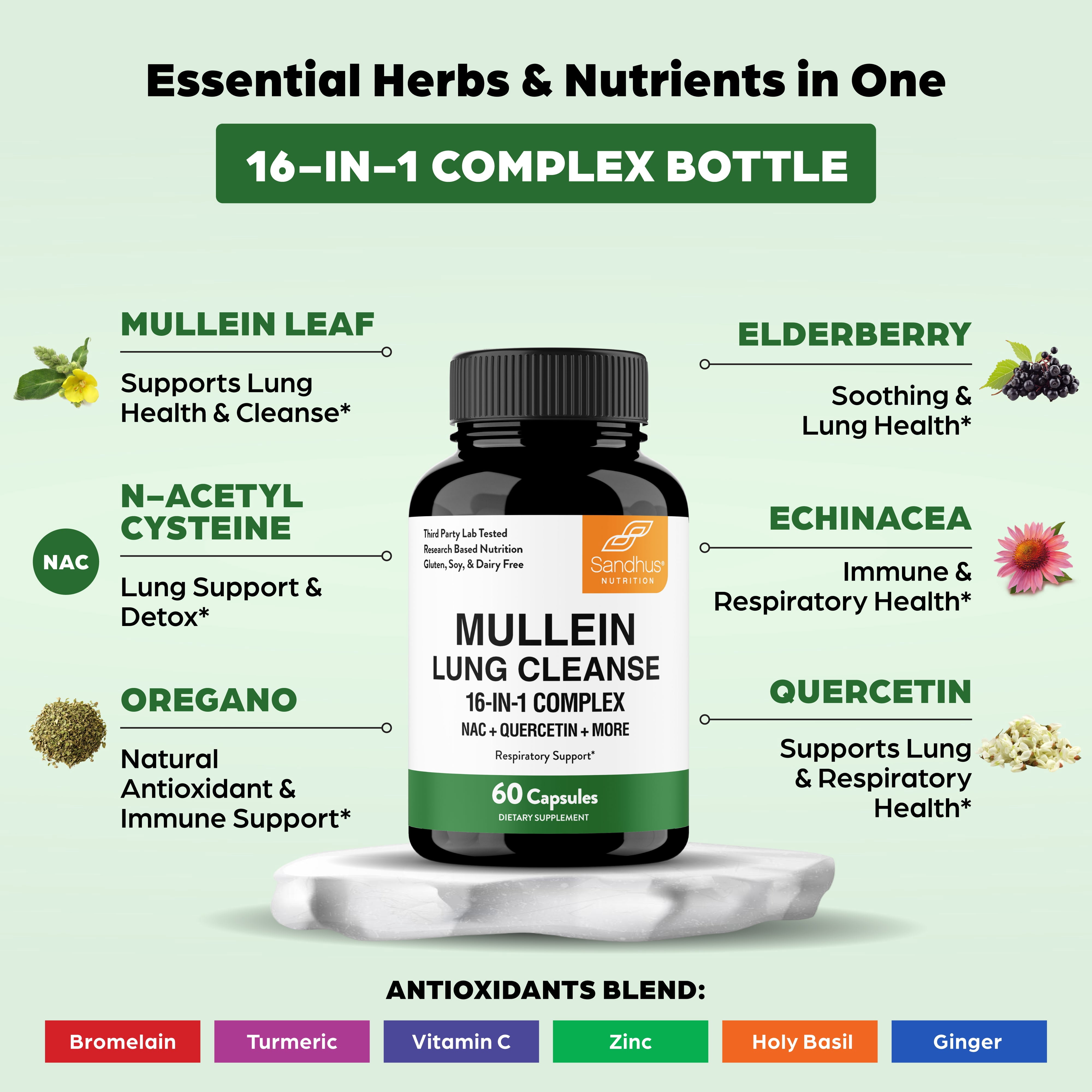 Sandhu's Mullein Capsules for Lungs with Quercetin | Mullein Leaf Extract Supplement for Immune, Lung & Respiratory Health Support | for Men & Women | 60 Count (Pack of 1)
