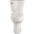 thumbnail image 2 of Briggs AltimaMAX White 19-1/8 In. Extra Tall Elongated 1.28 GPF Toilet Express, 2 of 5