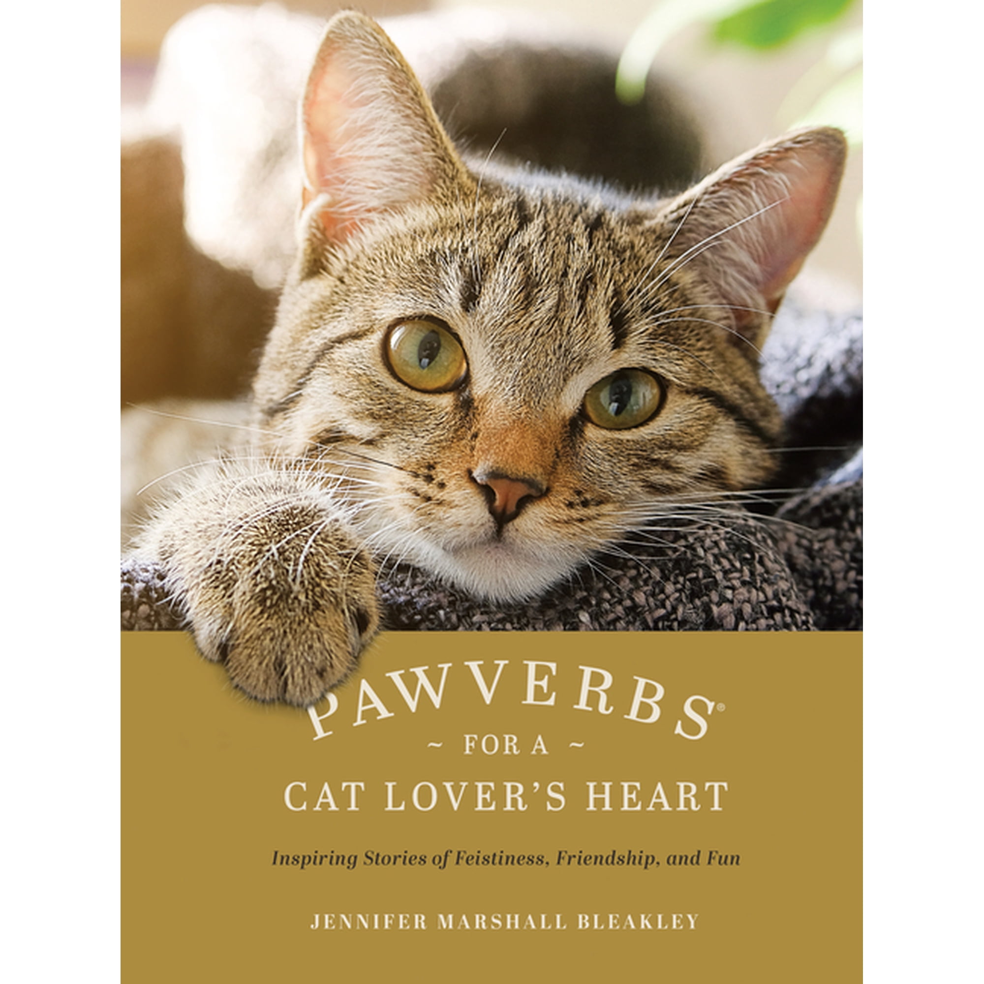 Pawverbs for a Cat Lover's Heart : Inspiring Stories of Feistiness, Friendship, and Fun (Hardcover)