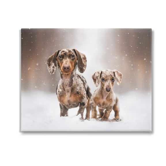 Stupell Industries Playing Puppies in Snow Animals & Insects Painting Gallery Wrapped Canvas Art Print Wall Art, 20 x 16