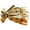 Wild Craw, variant on War Eagle Heavy Finesse Jig 1/2oz Pond Scum Perch 2pk