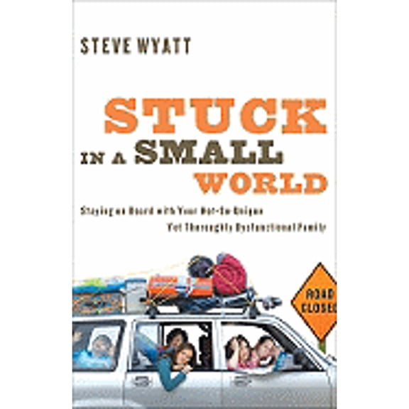 Pre-Owned Stuck in a Small World: Staying on Board with Your Not-So-Unique Yet Thoroughly Dysfunctional Family (Paperback) 0784721114 9780784721117
