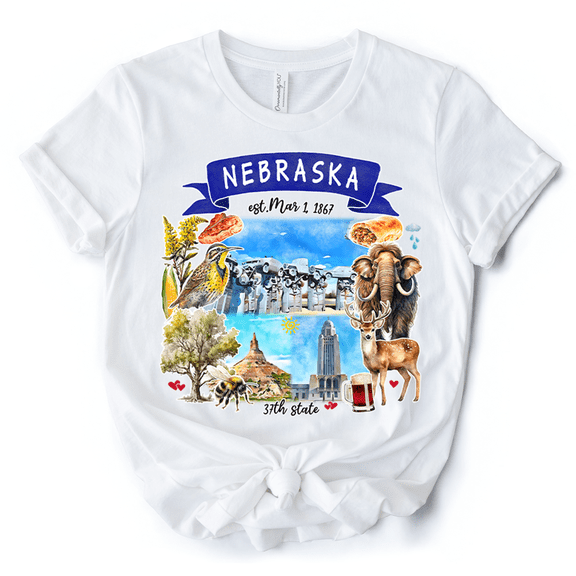 Artistic Nebraska State Themes and Landmarks T-Shirt, Tee for History and Travel Lovers