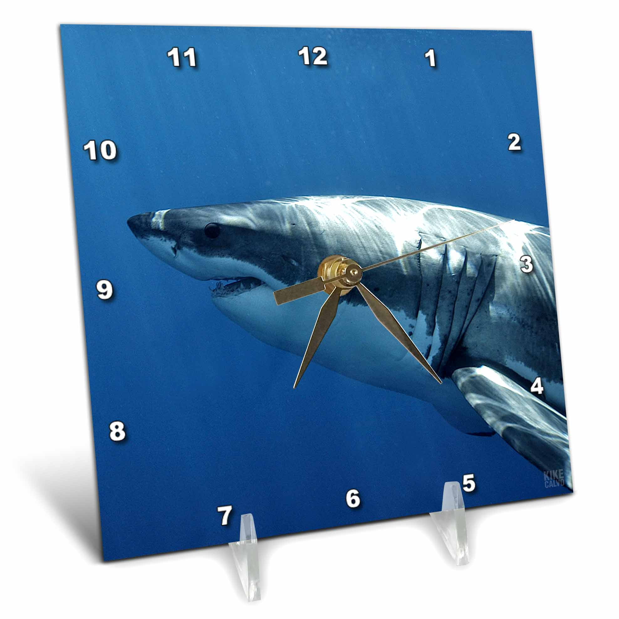 3dRose Great White Shark Desk Clock, 6 by 6inch