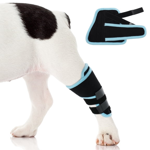 IDOMIK Dog Leg Brace, Adjustable Dog Knee Sleeve for Joint Support, Injury Recovery, Joint Stability Aid & Wound Protect, Blue, M