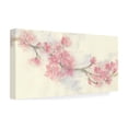 thumbnail image 4 of Trademark Fine Art 'Cherry Blossom II' Canvas Art by Chris Paschke, 4 of 4