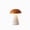 Orange, variant on HOARBOEG Rechargeable LED Table Lamp with Touch Control - Bedside Night Light with 3 Color Temperatures, Stepless Dimming, USB-C Charging, Portable Ambient Lighting for Bedroom Living Room Desk