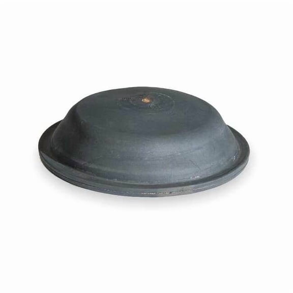Diaphragm,Type 24 2ZKF8