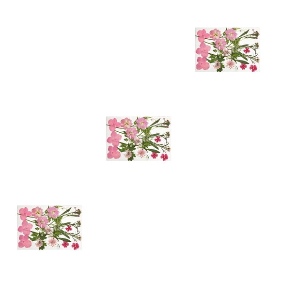 Inteprter Calcomanía de flores secas, calcomanía de maquillaje para niñas hermosas naturales, accesorios DIY, rellenos artesanales, Type1 NO1