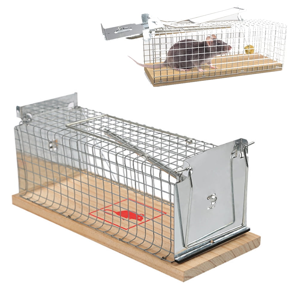 Flying Squirrel Cage Setup