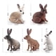 thumbnail image 5 of 5 uds lindo simulación Animal conejito escultura adornos césped y jardín figuritas artesanías granja conejo modelo juguetes regalo para niños, 5 of 8