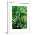 thumbnail image 1 of Tiger Hiding in Foliage Framed Print Wall Art Sold by Art.Com, 1 of 5