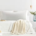 thumbnail image 1 of PiccoCasa Bamboo Body Pillowcases 1Pc, Breathable with Zipper Isabelline 20"x48", 1 of 6