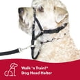 thumbnail image 2 of Coastal Pet Walk'n Train Head Halter Size 1 (13-17 Neck & 4-6 Snout Circumference), 2 of 7