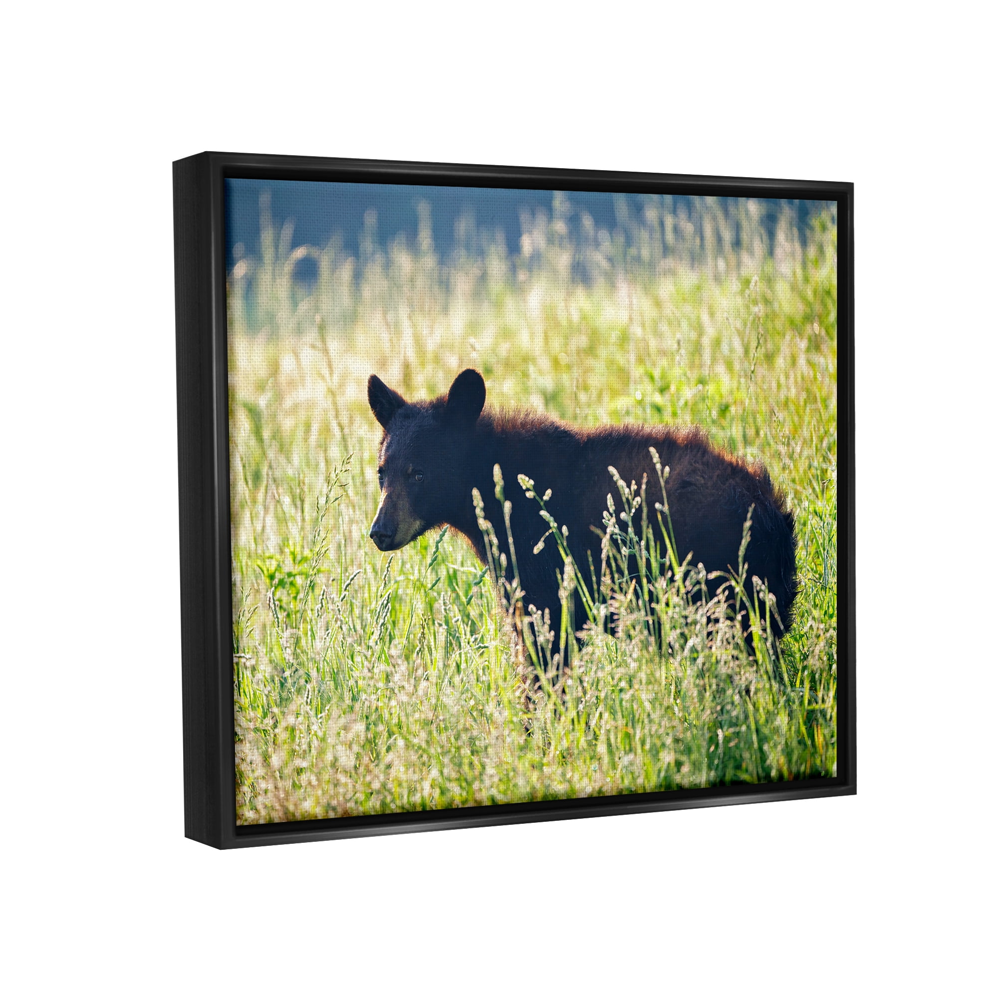 Stupell Baby Bear Tall Grassland Landscape Photography Black Floater Framed Art Print Wall Art