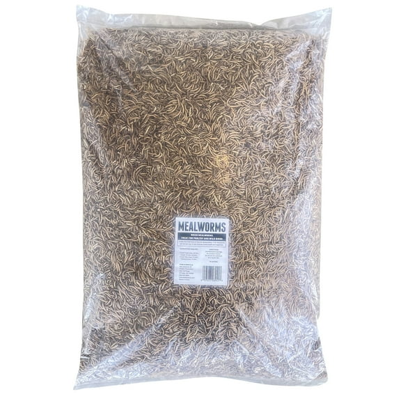 Dried Mealworm 10 lb