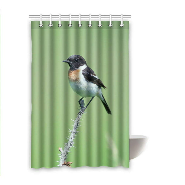 RYLABLUE Rideau de Douche Oiseau Imperméable en Polyester 48x72 Pouces