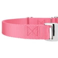 thumbnail image 6 of Country Brook Petz® Pink Heavyduty Nylon Martingale with Premium Buckle, Extra Small, 6 of 6