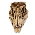 thumbnail image 3 of UDIYO Individuality Unique Resin Dinosaurs Skull Model for Indoor, 3 of 7