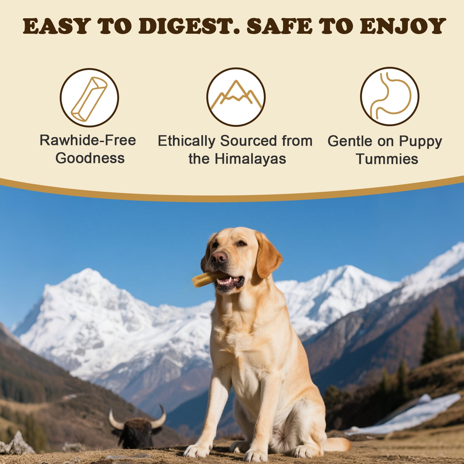 PETPURO Yak Cheese Dog Chews, Long-Lasting Natural Treats for Large Dogs, 6.5–8", 4-Pack