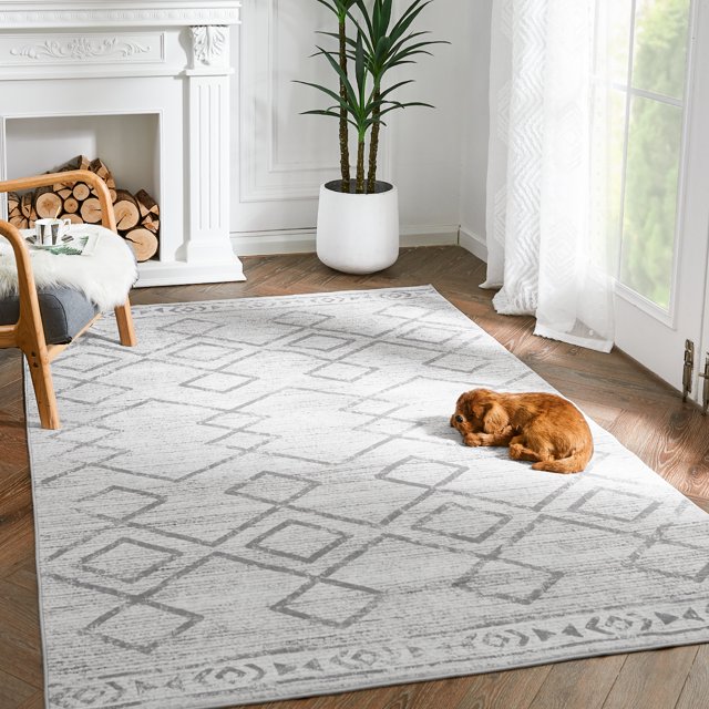 Rugking Area Rug Area Rugs for Living Room 4X6 Modern Kitchen Soft Rug Indoor Mat Geometric Print Floor Cover Thin Carpet Doormat Non Slip for Bedroom Dining Room Grey