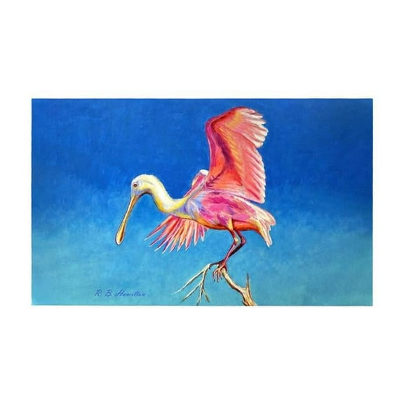 Betsy Drake DM1228G 30 x 50 in. Spoonbill Wings Door Mat