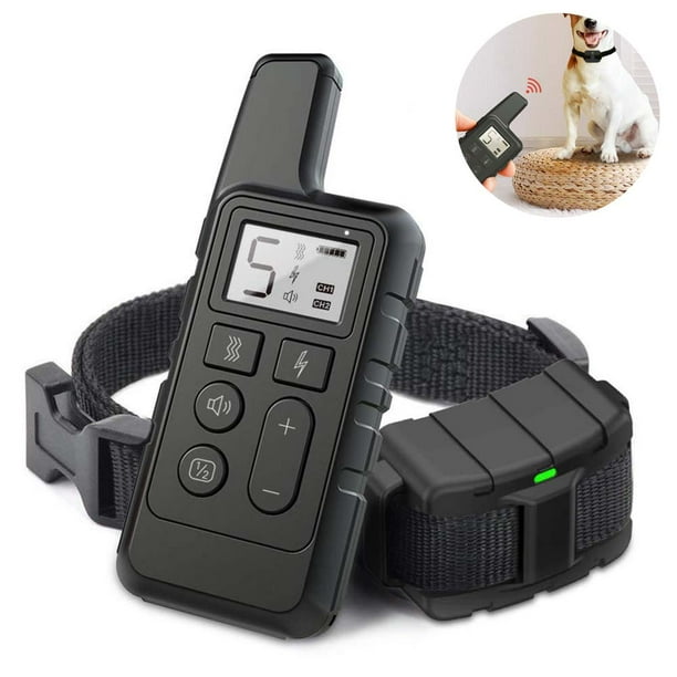 Dog training collars for small dogs best sale