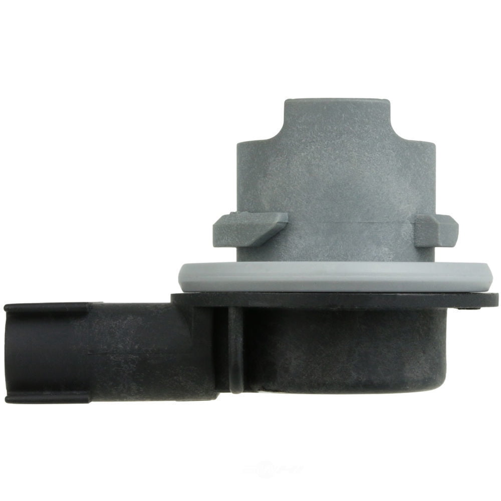 New Genuine WVE Socket
