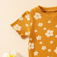 thumbnail image 6 of HCNTES Toddler Girl Outfit Daisy Print Ruffle Short Sleeve Tee and Shorts 2 Piece Set 12M 18M 24M 2T 3T Toddler Baby Girls Summer Outfits, 6 of 8