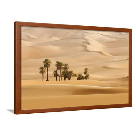 Huge Dunes of the Desert. Fine Place for Photographers and Travelers. Beautiful Structures of Sandy Framed Print Wall Art By Denis