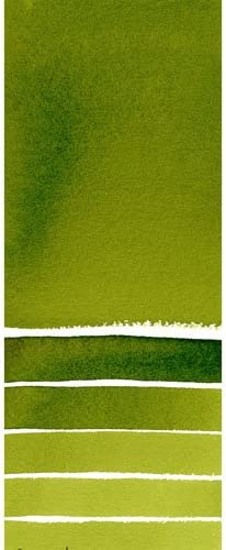 JJEAN-Daniel Smith Extra Fine Watercolor 15ml Paint Tube, Sap Green (284600102), 0.5 Fl Oz (Pack of 1)