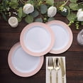 thumbnail image 6 of Balsa Circle 10 Round 7 in Blush Rose Gold Disposable Salad Plastic Plates Spiral Trim Party Tableware Decorations Supplies, 6 of 8