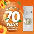 thumbnail image 3 of (5 pack) Air Wick Plug-In Scented Oil Warmer Refills Sweet Peach and Sunshine 4 Count, 3 of 10