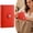 Red, variant on Clearance Under $1 100 Envelope Challenge Savings Binder with Lock A6 Budget Planner