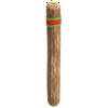 Basic Beat BBRS20L 20" Wide Cactus Rainstick