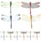thumbnail image 1 of 25pcs Fridge Magnets 3d Dragonfly Refrigerator Magnets Pvc Whiteboard Magnets, 1 of 2