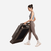 WalkingPad Z3 Hybrid Plus