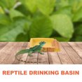 thumbnail image 3 of WEUVEB De Para Reptiles En Resina Color Amarillo Resistente Y Duradero Para Terrarios, 3 of 6