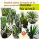 thumbnail image 4 of Planta artificial decorativa moderna con maceta Dracaena Palo de Brasil de 140cm de alto Artego para hogar sala comercio oficina, 4 of 8