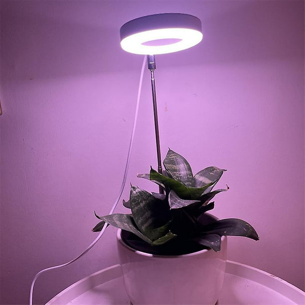 Grow lights for clearance indoor plants walmart