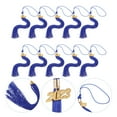 thumbnail image 3 of 10Pcs Academic Graduation Hat Tassels Graduation Hat Decors with Year Labels, 3 of 7