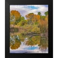 thumbnail image 2 of Fitzharris, Tim 20x24 Black Modern Framed Museum Art Print Titled - Dead Horse Ranch State Park-Arizona-USA, 2 of 5