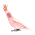 thumbnail image 4 of Bird Figurine Toy, Bird Model Figure Toy Decoration PVC Educational Toy  For Home, 4 of 8