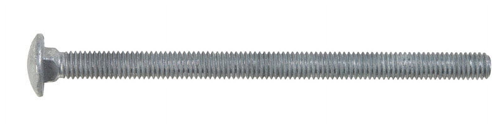 Hot Dipped Galvanized Carriage Bolt- 50 pack