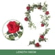 thumbnail image 1 of Guirnalda de vid de flores falsas rosa artificial para fiesta de boda (6.4 pies rojo) Hugtrwg Libre de BPA, 1 of 4