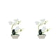 thumbnail image 1 of Matsuzay Orquídea artificial flores falsas en maceta simuladas Blanco 2Conjunto, 1 of 6