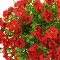 thumbnail image 2 of 2 Pack 24 Inch Artificial Boxwood Topiary Ball Trees for Indoor Outdoor Decor, 2 of 5