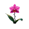 thumbnail image 6 of Realistic Flower Theme Stickers, Waterproof Flower Theme Sticker for Water Bottle Laptop Phone Cases Planner Skateboard Luggage Helmet Party Favor Decor, Ideal for Adults Teens Teacher Rewards, 6 of 9